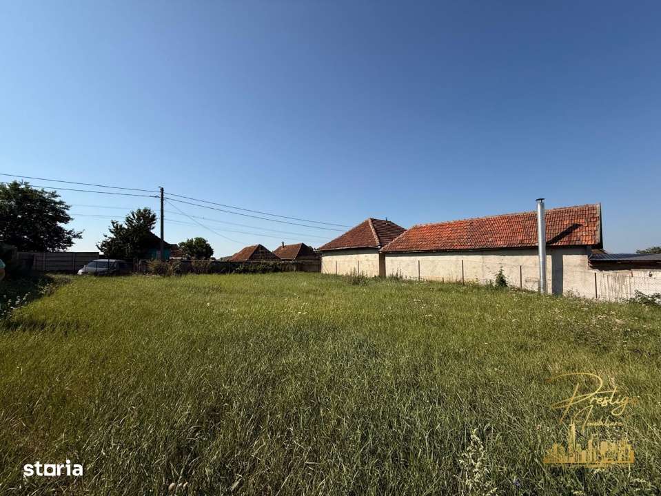 Teren intravilan de vanzare in Tasad - comuna Dragesti - Imagine principală: 5/7