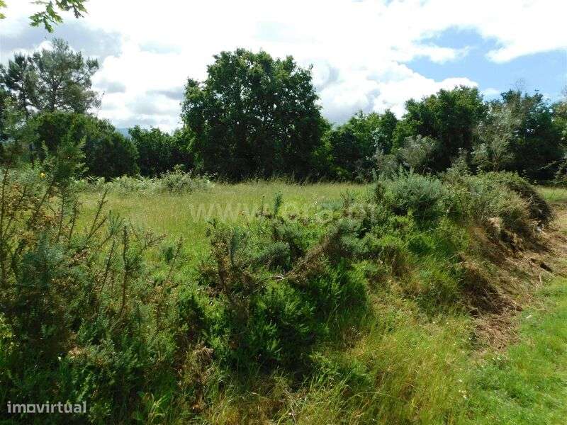 Terreno / Seia, Carragozela e Várzea de Meruge - Grande imagem: 3/6