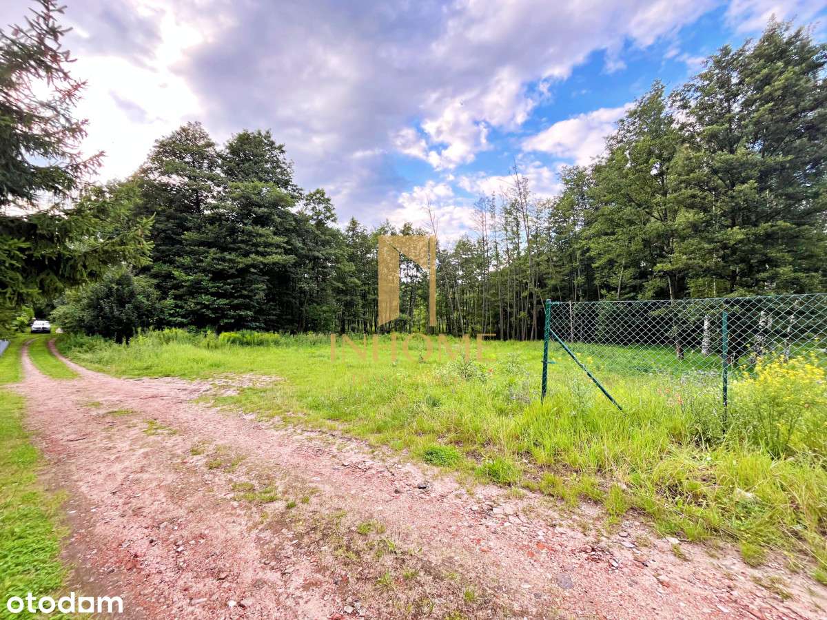 Działka z lasem I Biały Bór I Blisko jeziora! - Pełny obrazek: 3/6