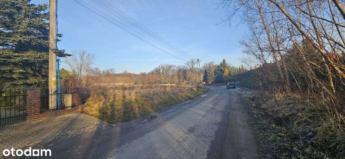 Chróstnik, gm. Lubin, powiat lubiński-6