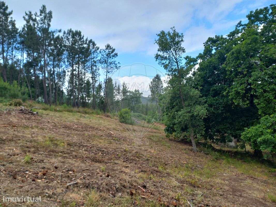 Quinta T0 para venda - Grande imagem: 4/12