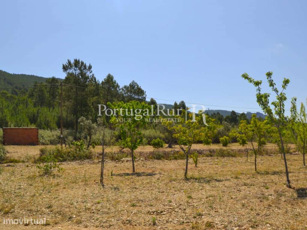 Horta para venda em Proença-a-Nova - Grande imagem: 3/15