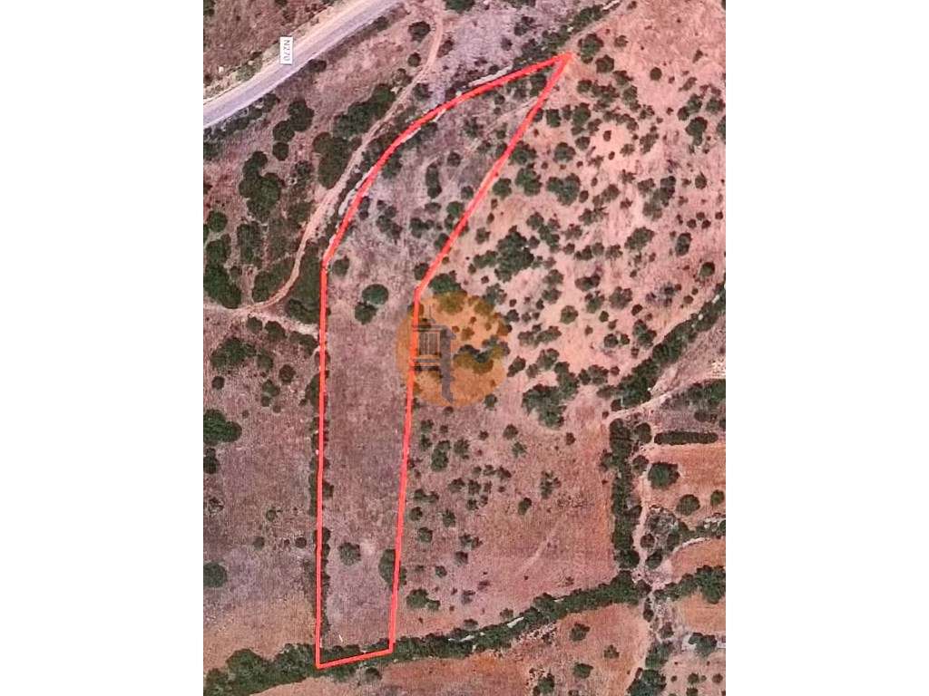 TERRENO RÚSTICO COM 11.200 M2 - PADERNE - ALBUFEIRA - ALGARVE - Grande imagem: 5/15
