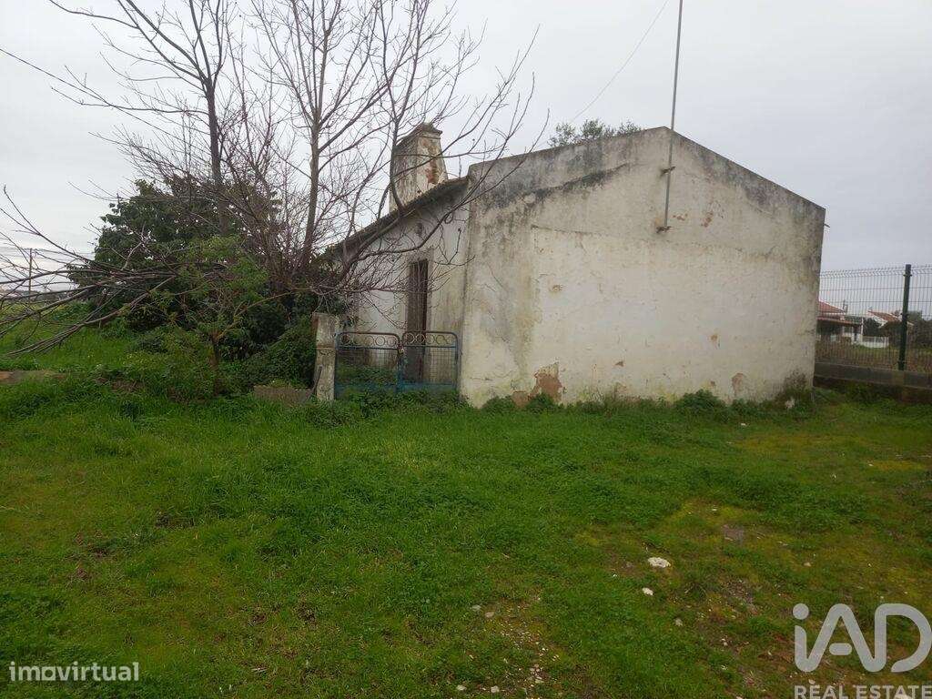 Quinta T1 em Santo André - Grande imagem: 5/6