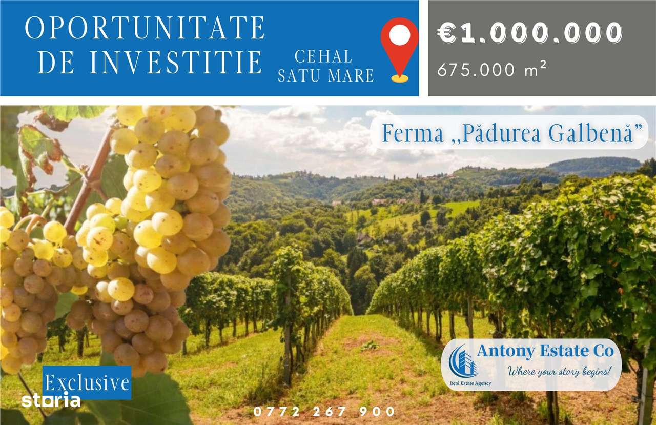 Oportunitate de investitie, Ferma Padurea Galbena  - Cehal, Marghita - Imagine principală: 1/14