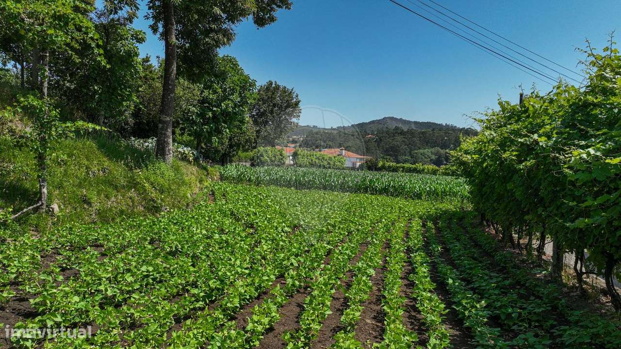 Terreno  para venda - Grande imagem: 5/21