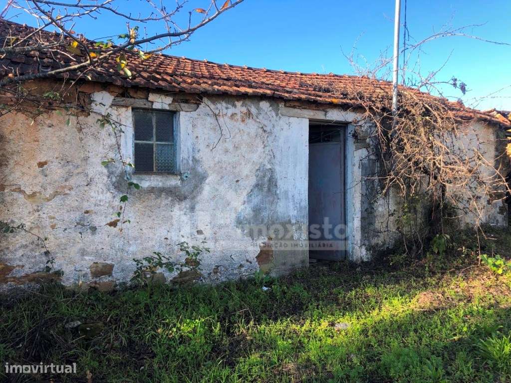 Casa de Campo em Pedrógão Grande-5