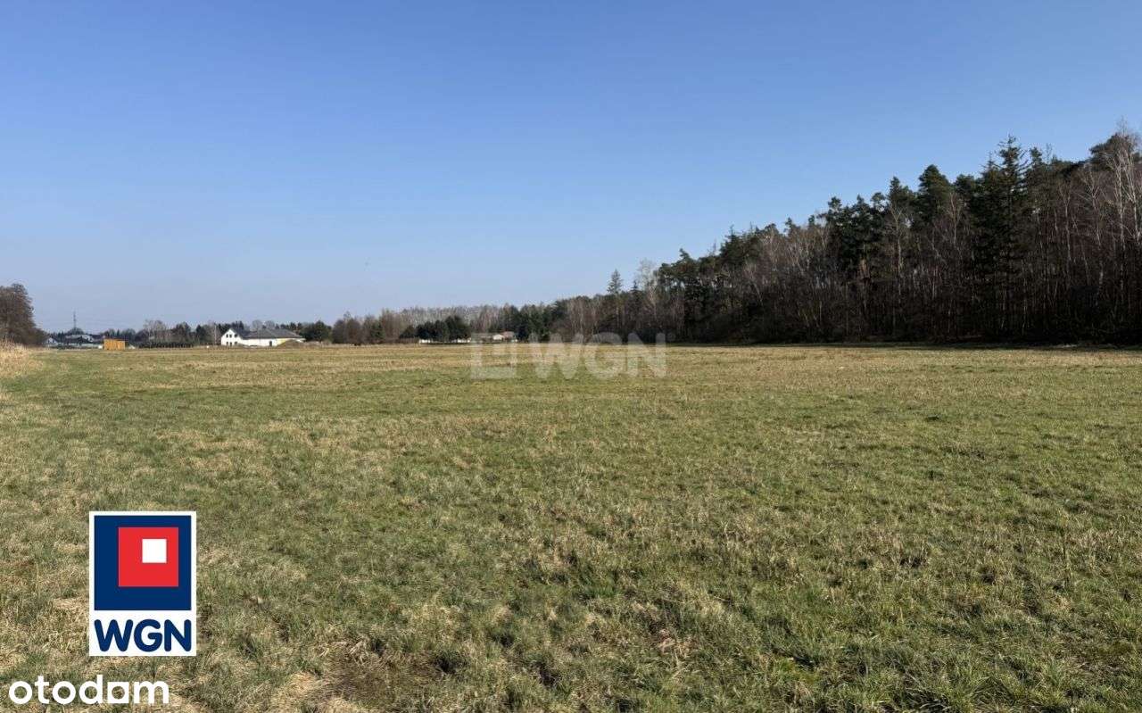 Działki pod lasem w Topoli Osiedle - Pełny obrazek: 4/8