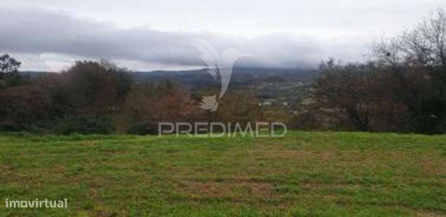 Terreno Rústico em Lamas - Mozelos – Paredes de Coura - Grande imagem: 3/8