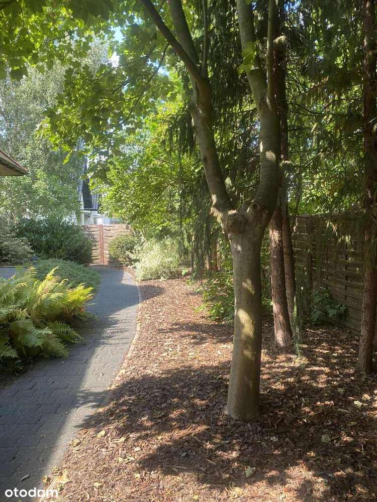 Komfortowy dom/Garaż/Taras/Ogród-OKAZJA!-3