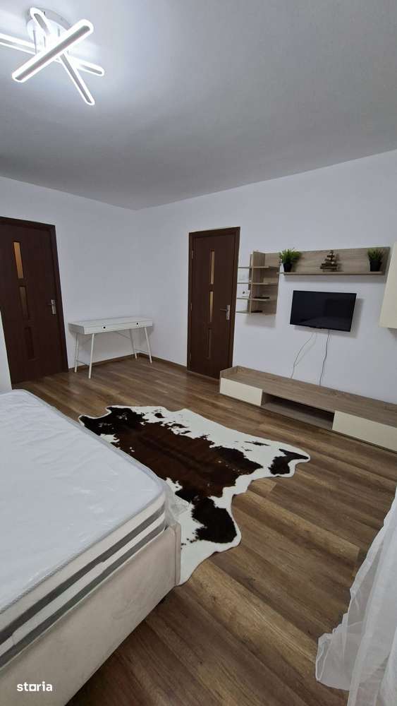 Apartament cu o camera, Lidl Nicolina, Podu Ros - Imagine principală: 4/11