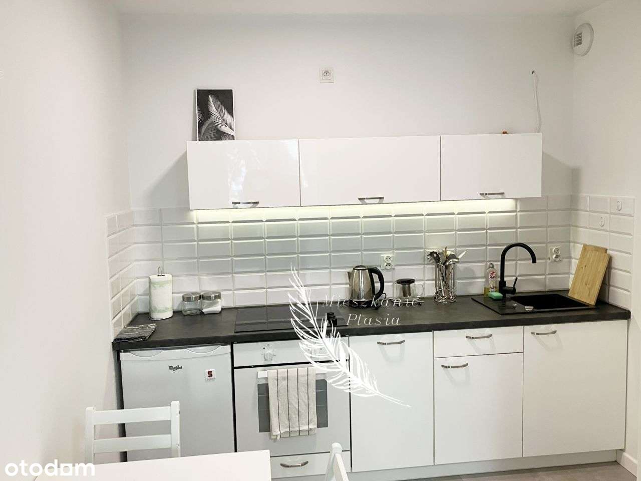 Wrocław / Centrum / Nadodrze / Ptasia / Pomorska - Pełny obrazek: 5/12