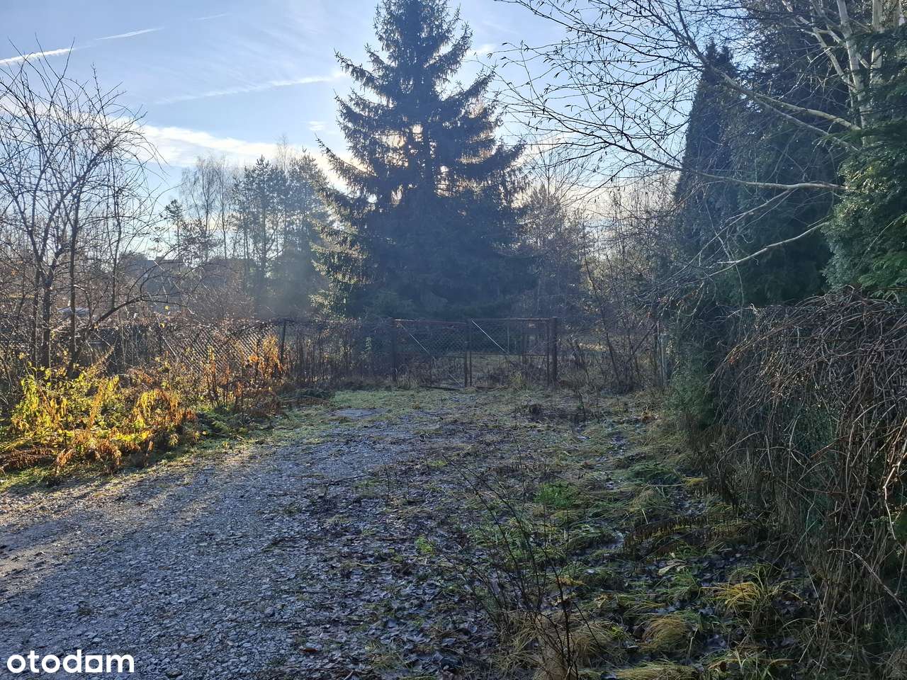 Wszystkie media, MPZP, blisko las - Pełny obrazek: 4/5