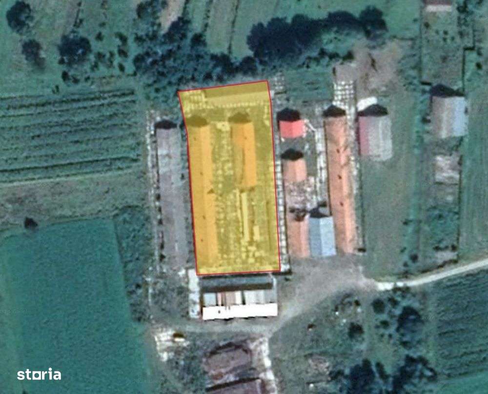 Terenuri + Constructii dezafectate - 20.146 mp , Vad-BV - Imagine principală: 5/7