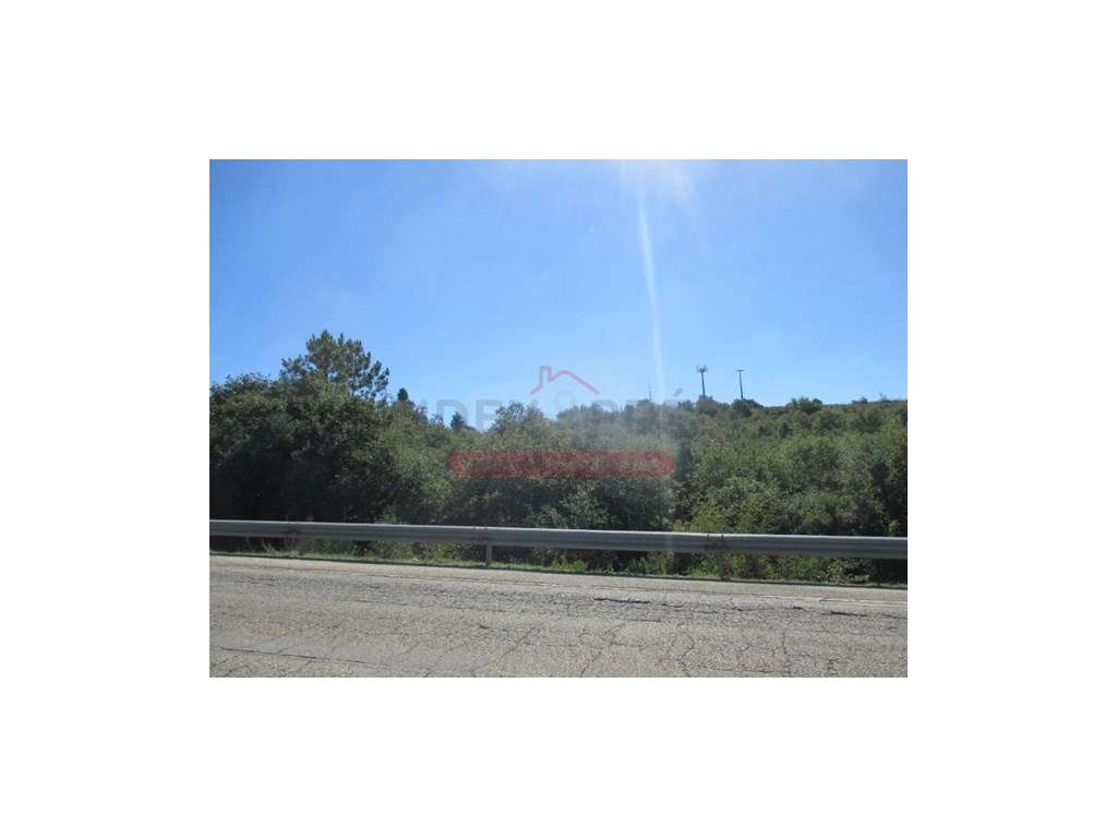 Lote Terreno Rustico - Soure - Grande imagem: 4/6