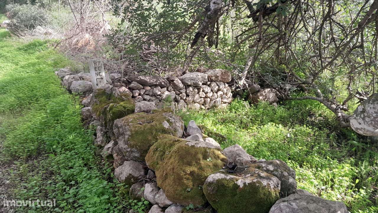 Terreno Rústico em Alfontes, Boliqueime - Grande imagem: 2/16