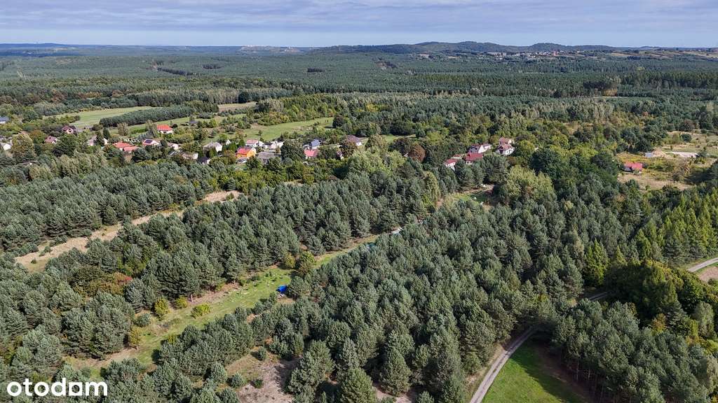 Choroń, ul. Poległych | Działka na sprzedaż - Pełny obrazek: 5/7