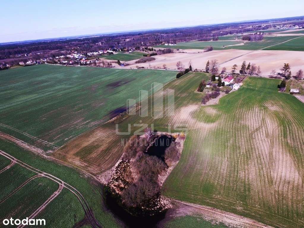 Działka ze stawem warunki zabud. 1,3 ha Szpęgawsk - Pełny obrazek: 4/5