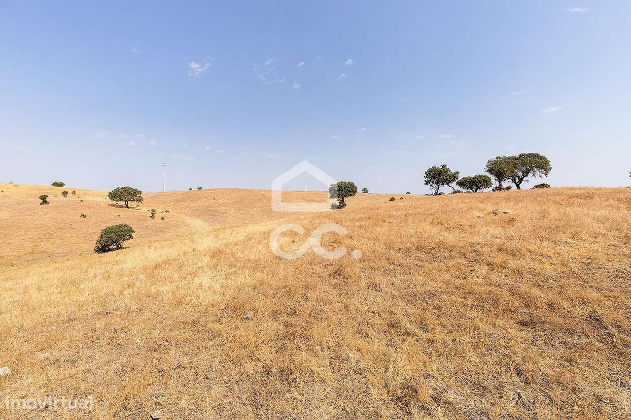 Terreno Rústico de 2,725 ha c/ Pequena Nascente para Exploração Agríco - Grande imagem: 5/16