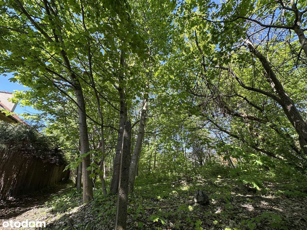 Działka budowlana z projektem i WZ ul. Drwęcka 27a Radiostacja Doły - Pełny obrazek: 4/15