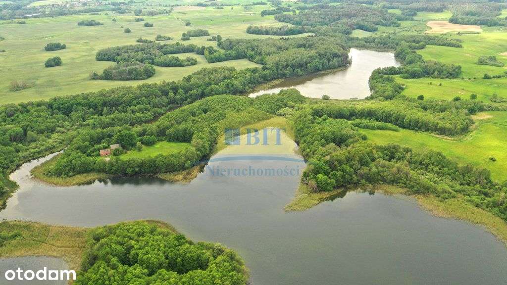 Jezioro Drawsko Cały półwysep Szymalów pow. 11,7ha - Pełny obrazek: 4/18