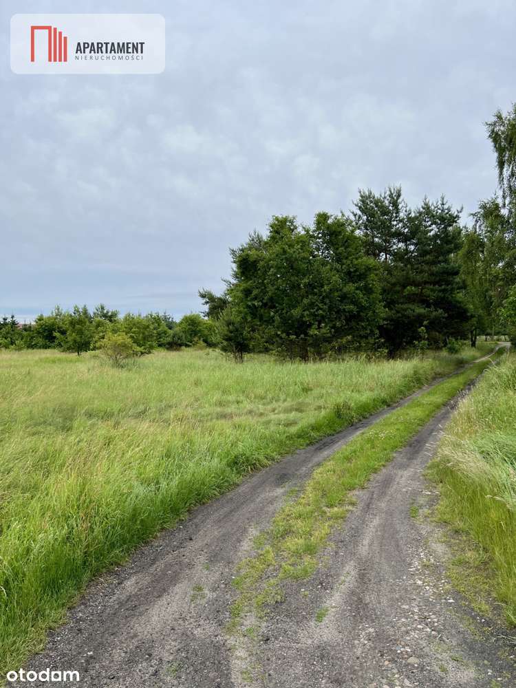 Bez Pcc! Działki Budowlane Lubiąż! Fv! Mpzp! - Pełny obrazek: 5/7