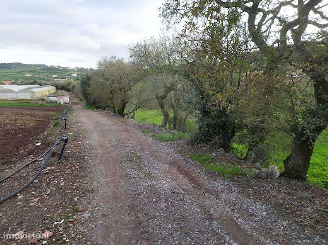 Terreno  para venda - Grande imagem: 5/9