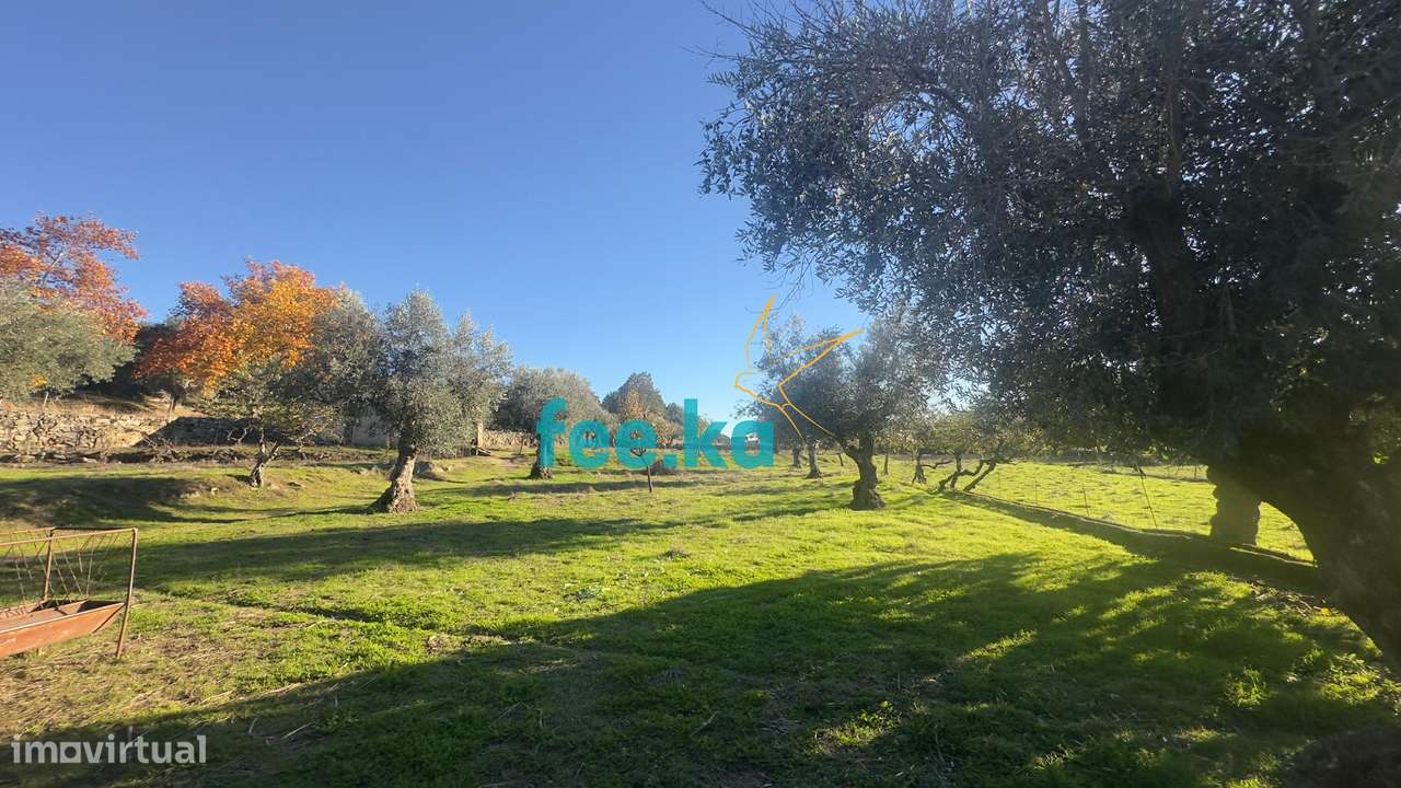 Quinta em Escalos de Baixo-18