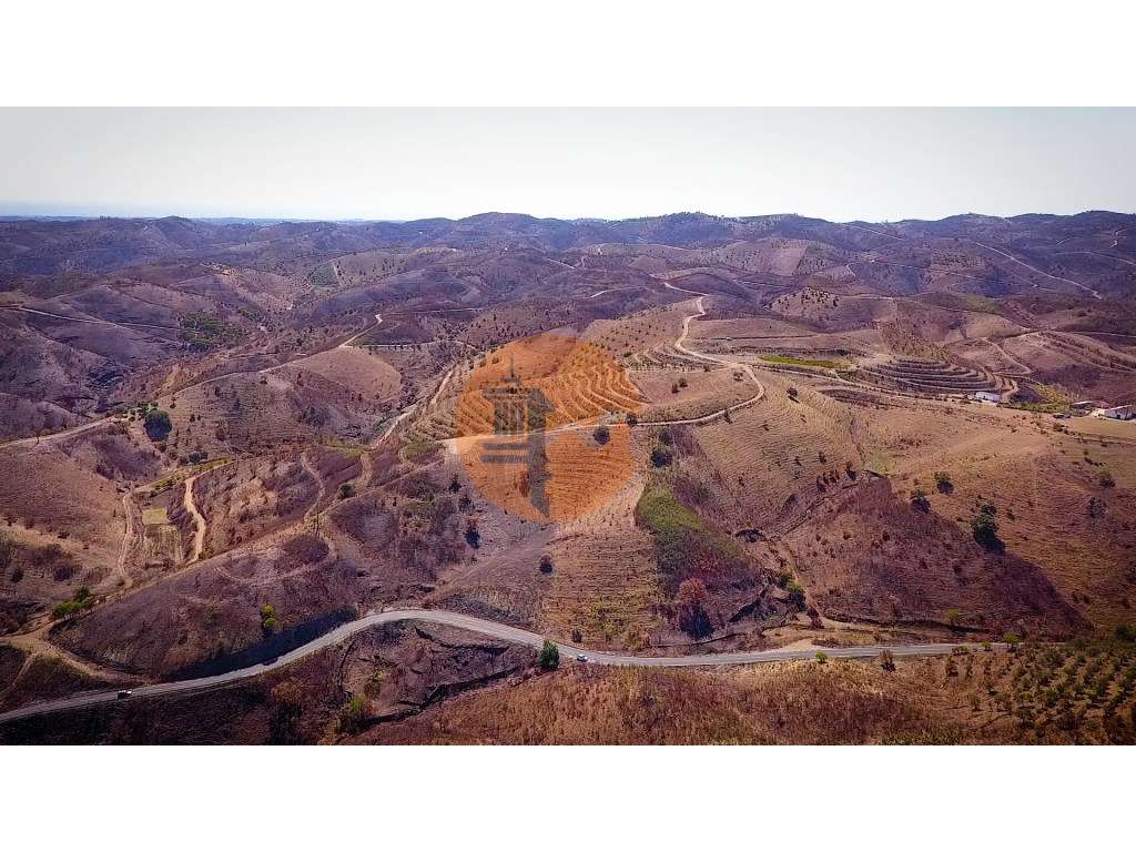 TERRENO RÚSTICO COM 5.920 M2 - BONS ACESSOS - CORTELHA - AZINHAL - ... - Grande imagem: 4/51