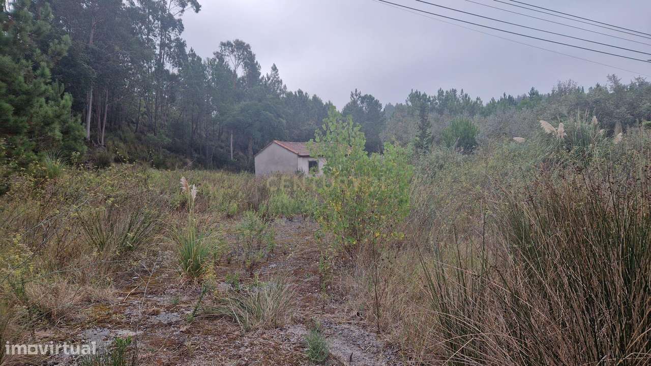 Terreno com grandes dimensões às portas de Condeixa - Grande imagem: 4/15