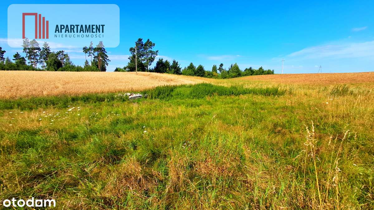 Nowa cena!!Duża działka budowlana blisko miasta! - Pełny obrazek: 4/10