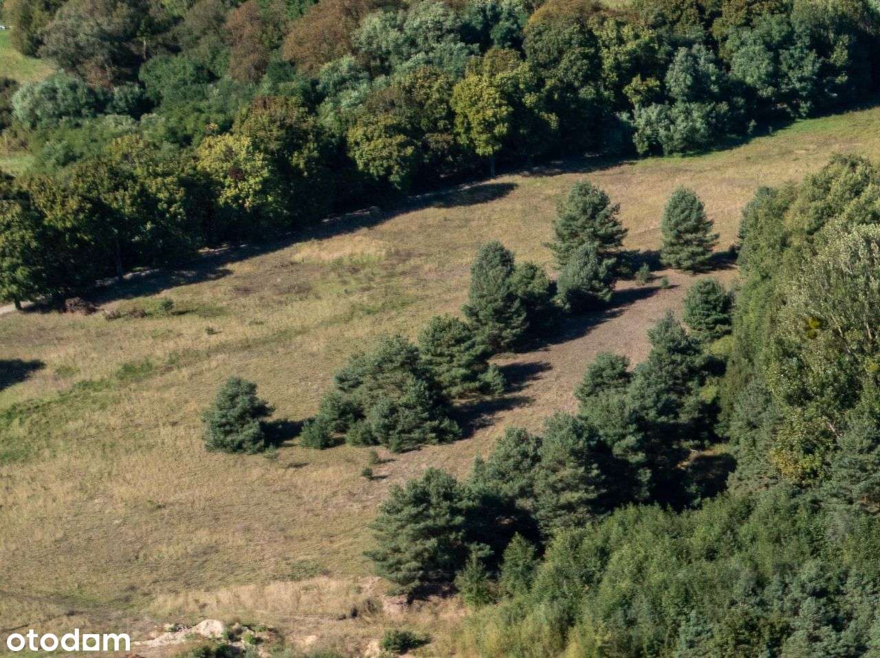 Działka 7,2 ha- przyroda i potencjał inwestycyjny-5