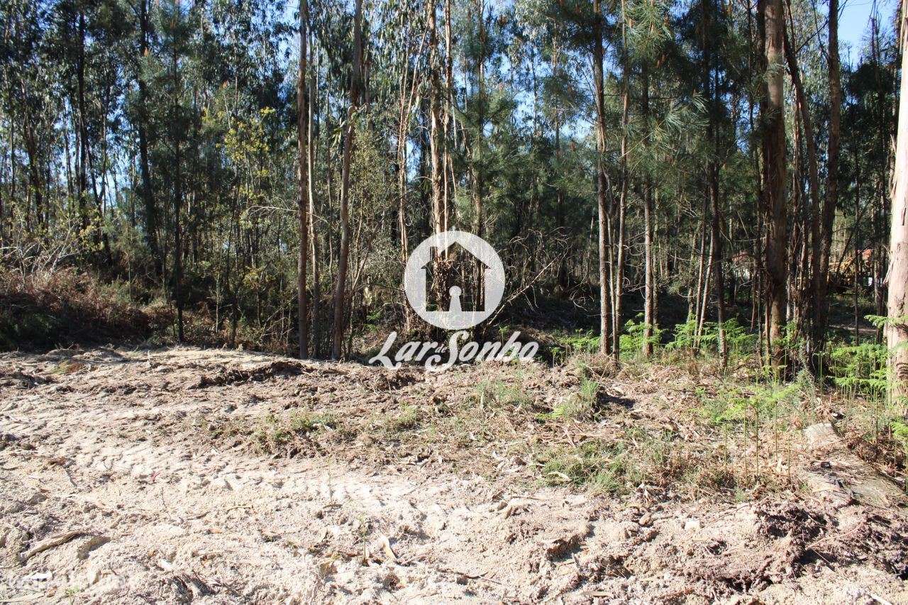 Terreno para construção - Grande imagem: 4/23