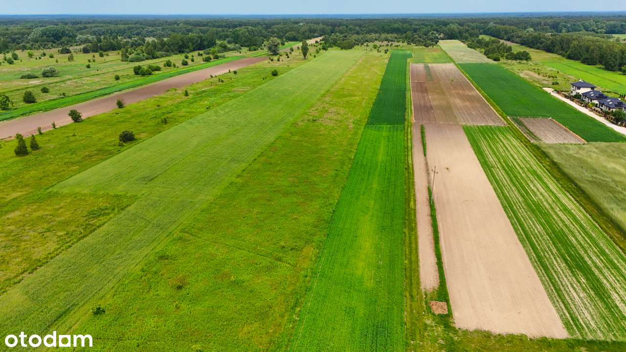 ➡️ Działka inwestycyjna w dobrej cenie ➡️Wszystkie Media w drodze - Pełny obrazek: 4/15