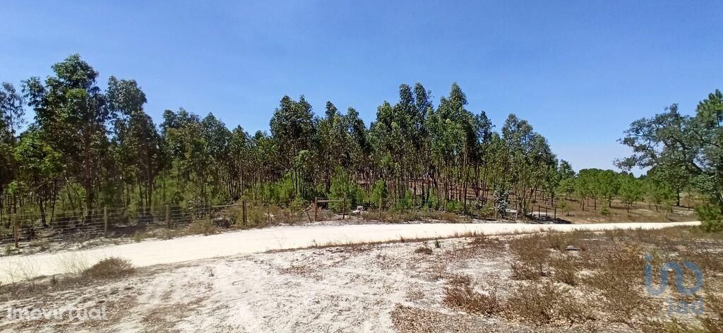 Terreno para construção em Santarém de 12500,00 m2