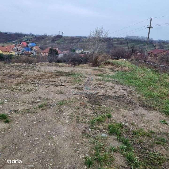 Gaminvest - Teren intravilan 3133 mp strada Sofiei, Oradea, BH, V3098 - Imagine principală: 2/6