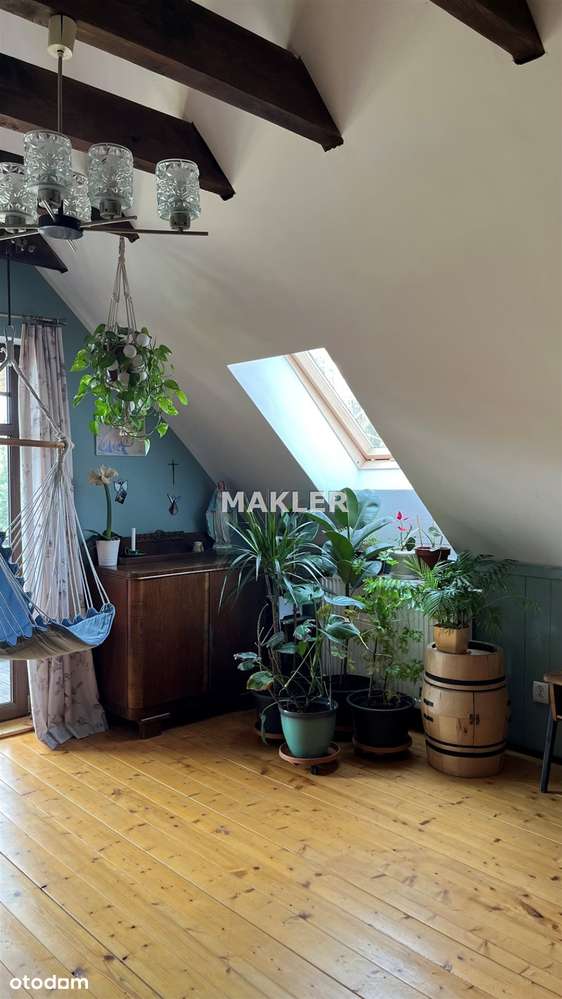 Biały Bór koło Grudziądza-14