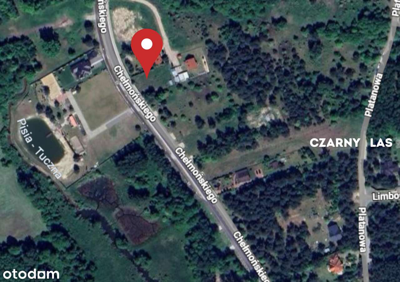 Nowoczesny parterowy dom w zielonej okolicy | Budy Grzybek - Pełny obrazek: 5/15