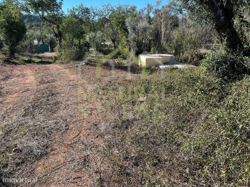 Terreno Rústico com Excelentes Acessos em Querença, Loulé - Grande imagem: 2/7