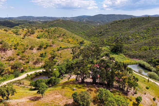 Charmosa Quinta com 4 Hectares à venda na idílica Salto - São Bartolom-31