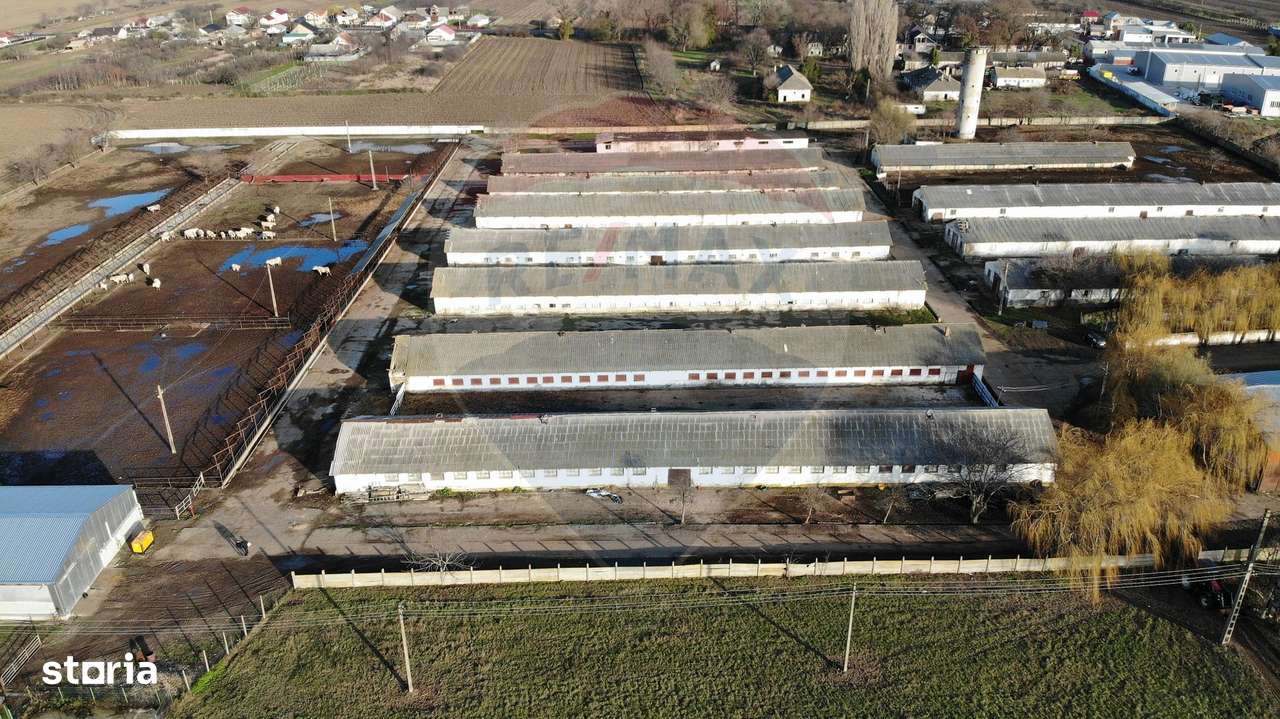 Hale 16 mii mp cu 9 ha teren intravilan - Imagine principală: 2/4