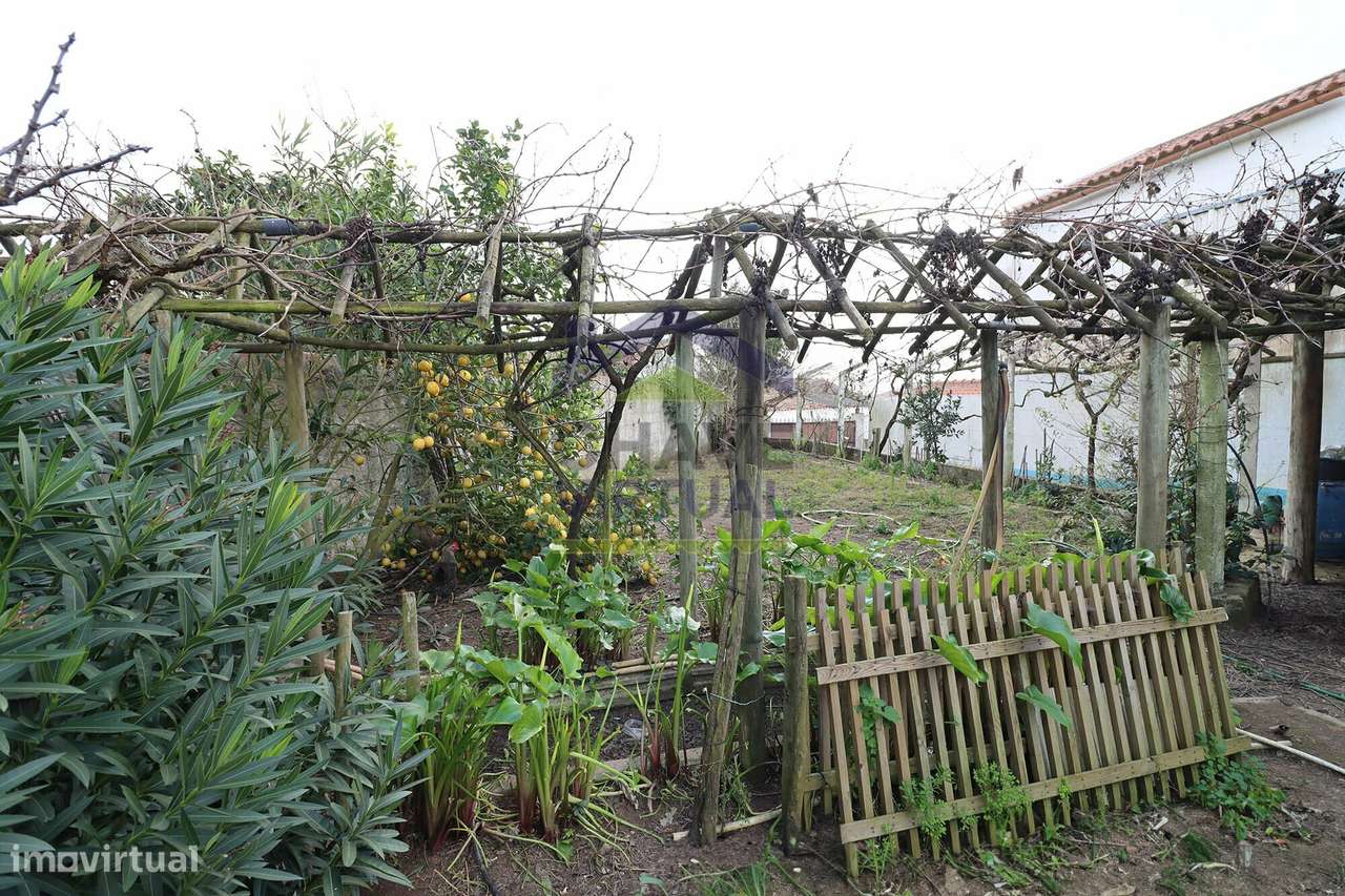 Excelente Moradia V3 Carvalhal-44