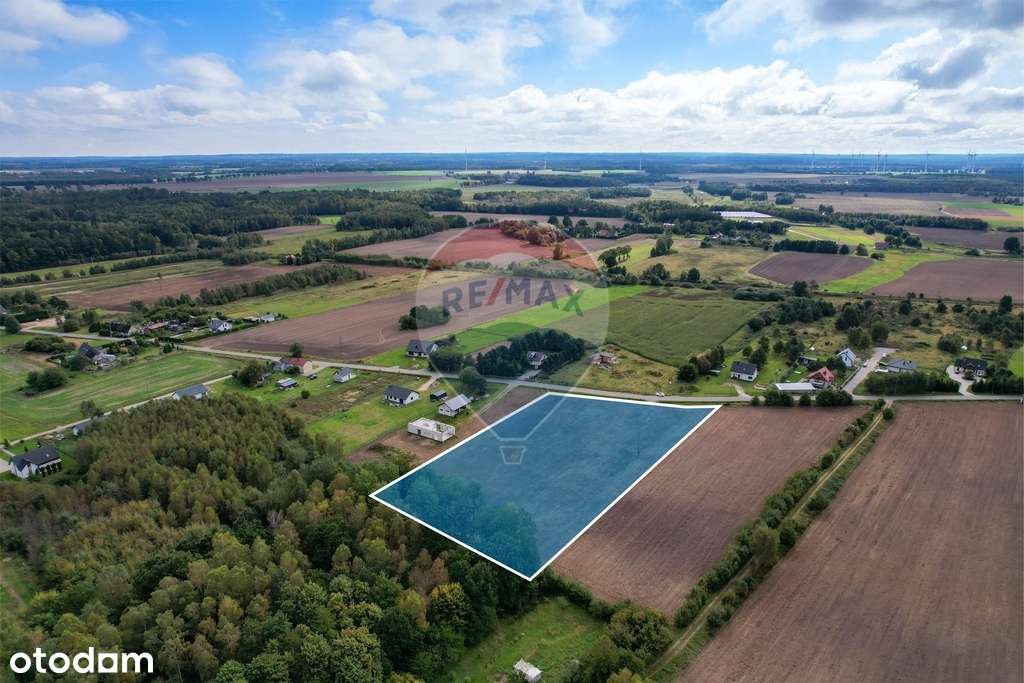 Działka siedliskowa przy lesie 1,1 ha – Wrześnica-7