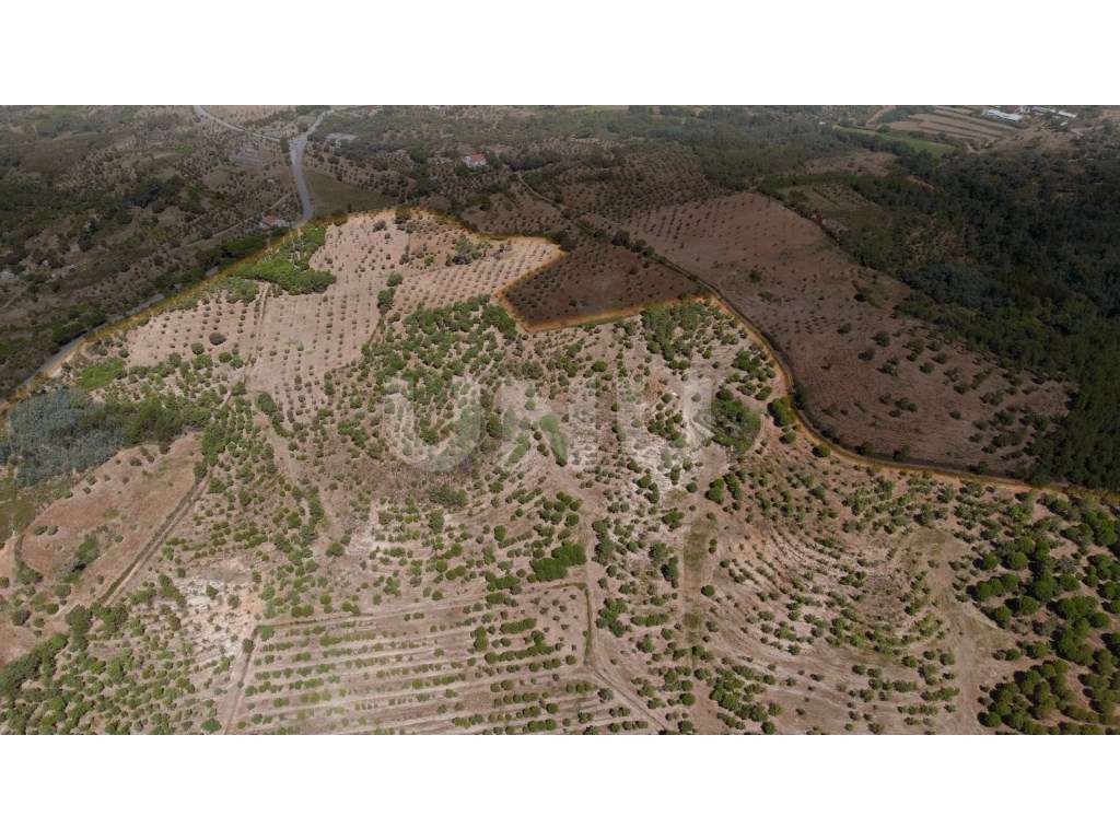 Herdade com 34 Hectares-35