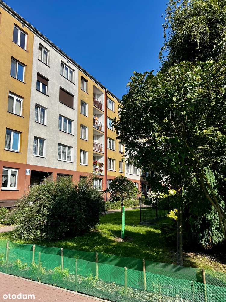 Nowoczesne i przytulne! 2 pokoje po remoncie - Katowice-7