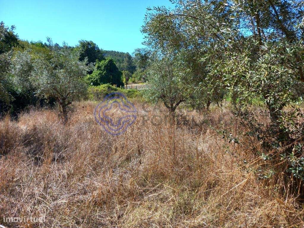 Terreno agrícola com uma ribeira a 10 minutos de Dornes-13