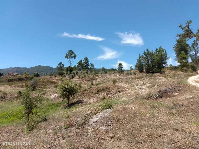 Terreno / Fundão, Vale de Prazeres e Mata da Rainha - Grande imagem: 4/8