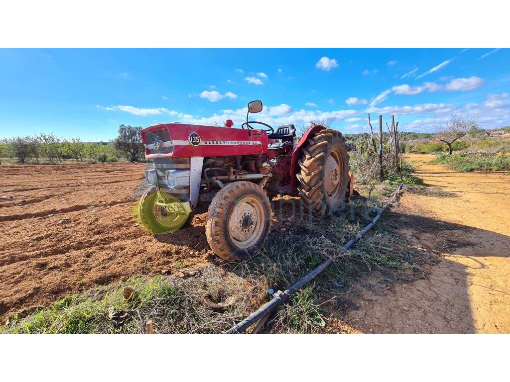 Terreno com 15600m2 em Albufeira, com 10 casinhas amovíveis e com f... - Grande imagem: 3/9