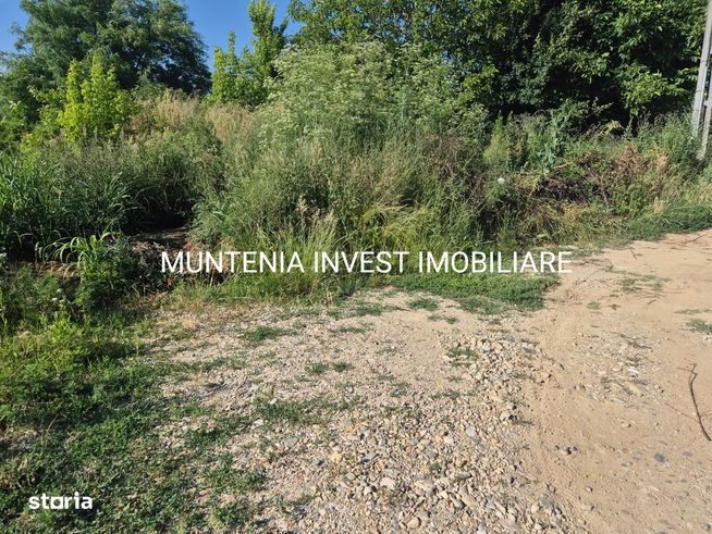 Teren 2779 mp. intravilan Ștefănești, str. Mironescu-1
