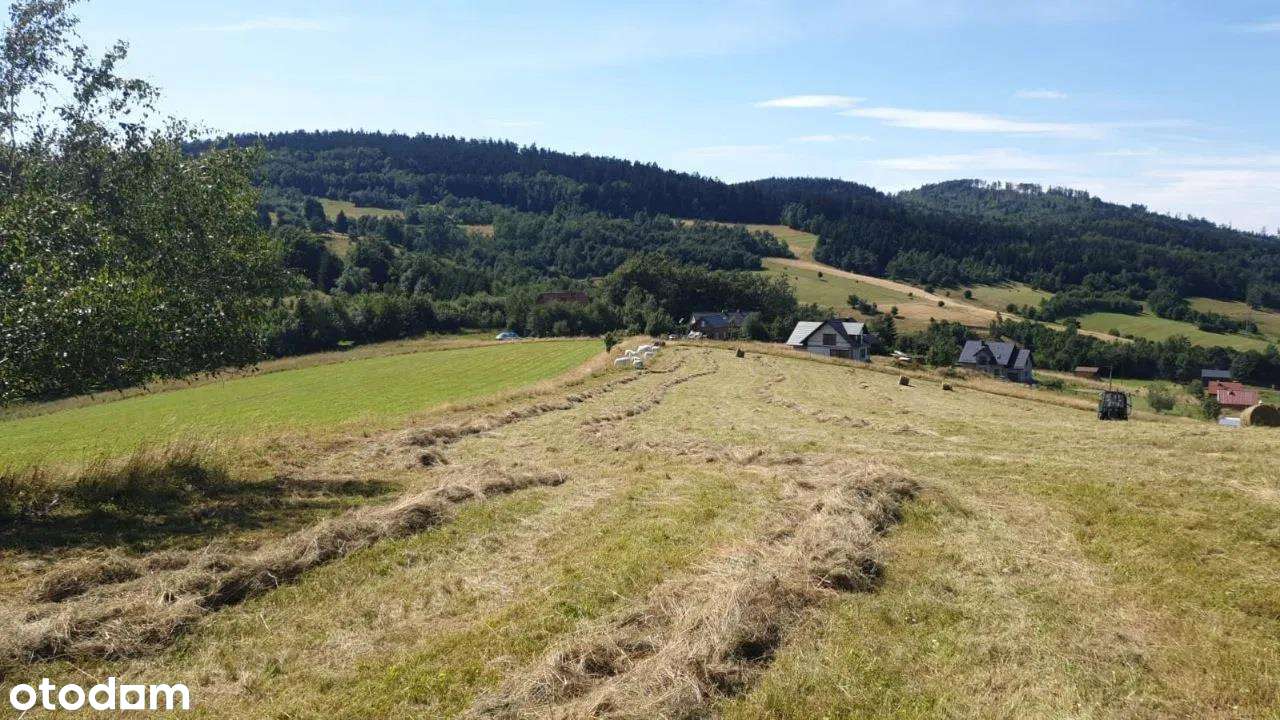 Urokliwa działka w Górach Sowich-7